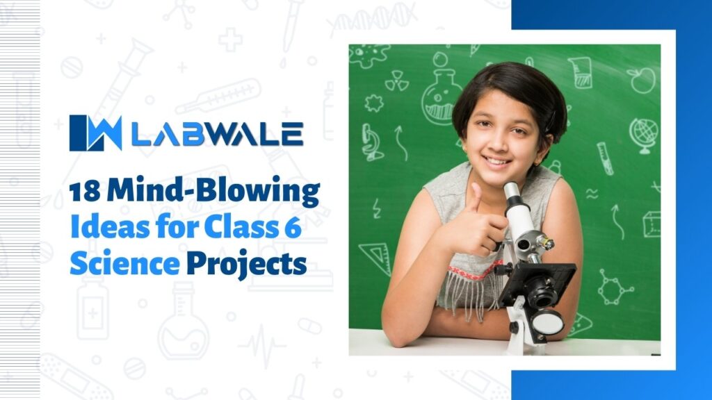 18 Mind-Blowing Ideas for Class 6 Science Projects