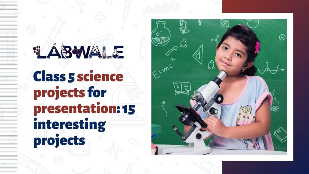 Class 5 Science Projects for Presentation 15 Interesting Projects