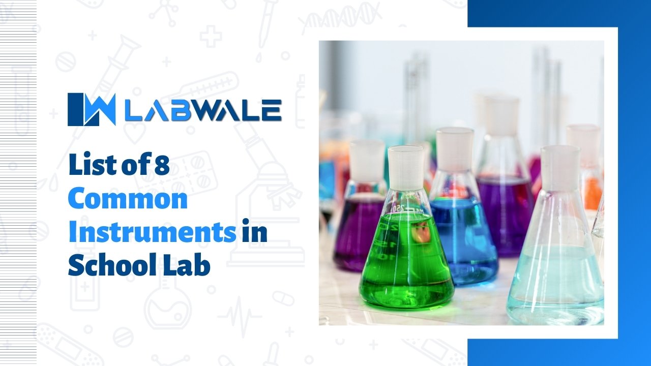 List of 8 Common Instruments in School Lab
