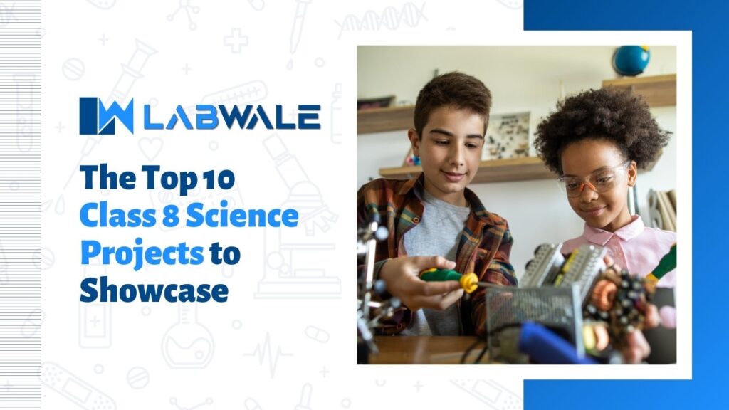 The Top 10 Class 8 Science Projects to Showcase