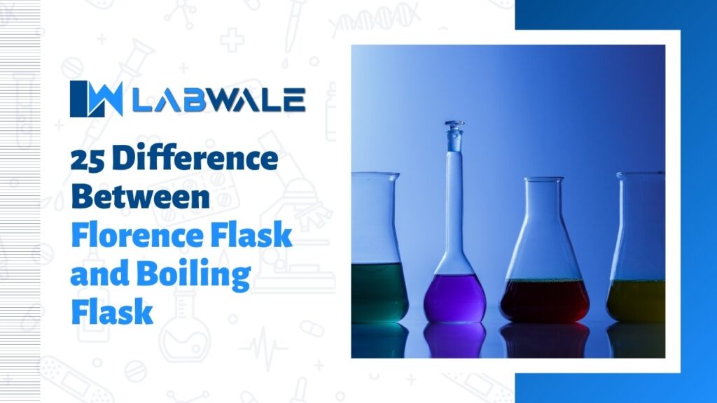 25 Difference Between Florence Flask and Boiling Flask