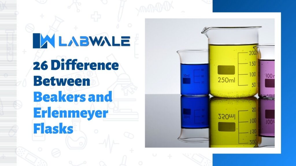 26 Difference Between Beakers and Erlenmeyer Flasks