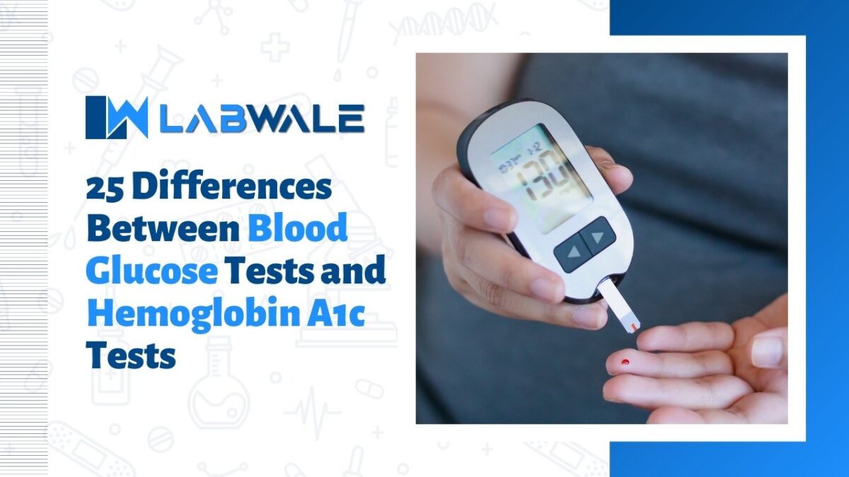 25 Diff Between Blood Glucose Tests and Hemoglobin A1c Tests