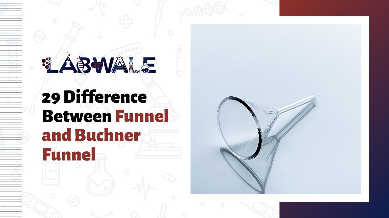 29 Difference Between Funnel and Buchner Funnel
