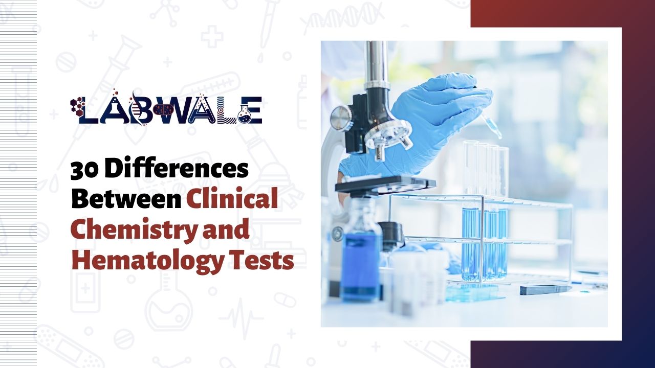 30 Differences Between Clinical Chemistry and Hematology Tests