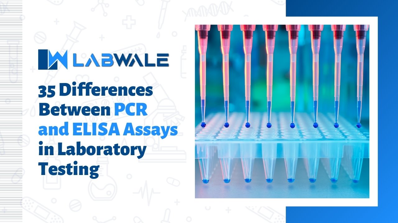 35 Differences Between PCR and ELISA Assays in Laboratory Testing