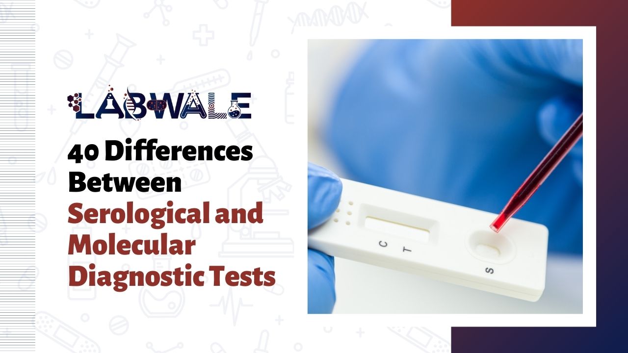 40 Differences Between Serological and Molecular Diagnostic Tests