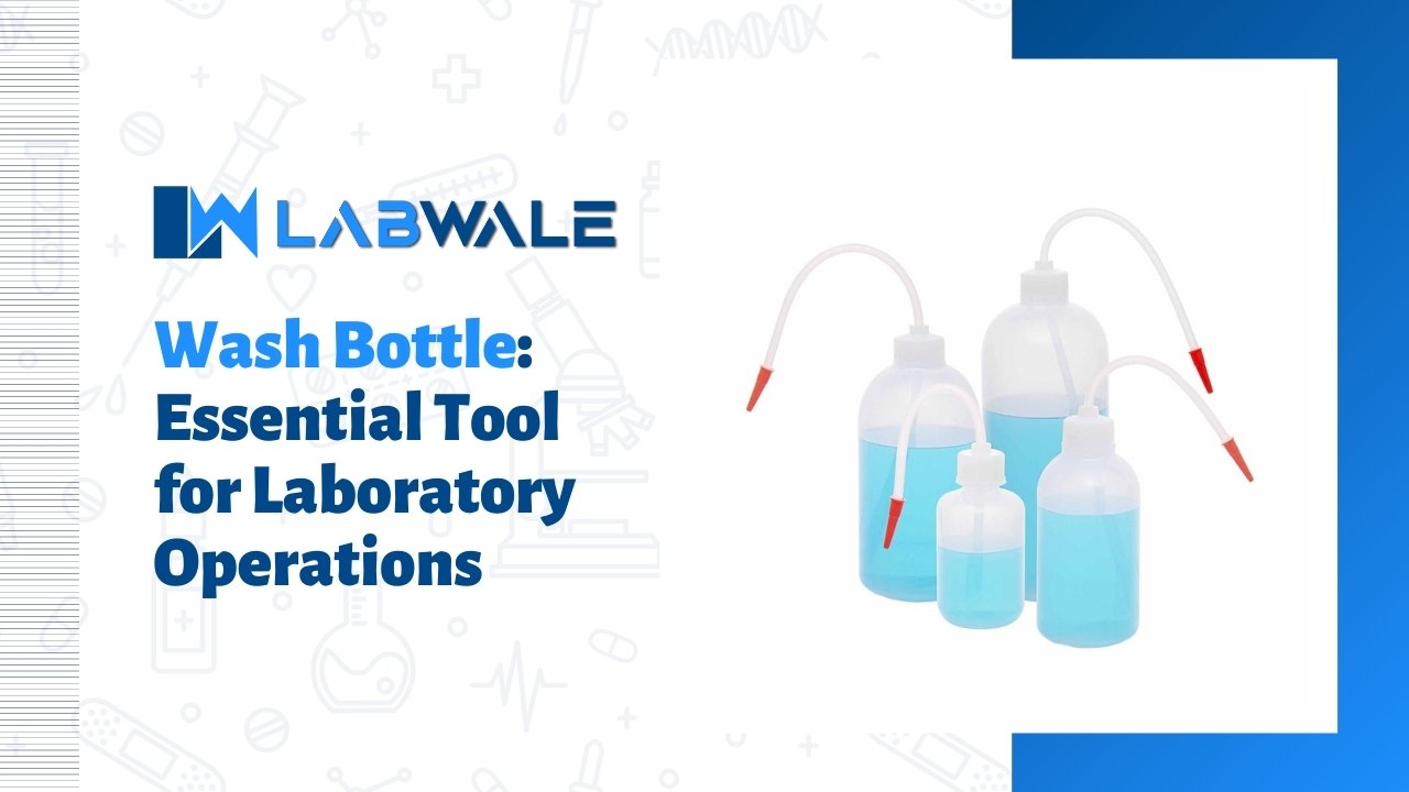 Wash Bottle Essential Tool for Laboratory Operations