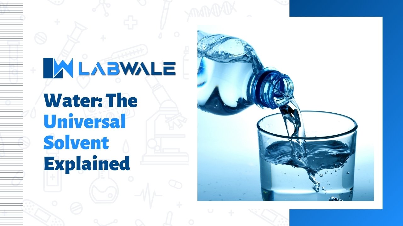 Water The Universal Solvent Explained