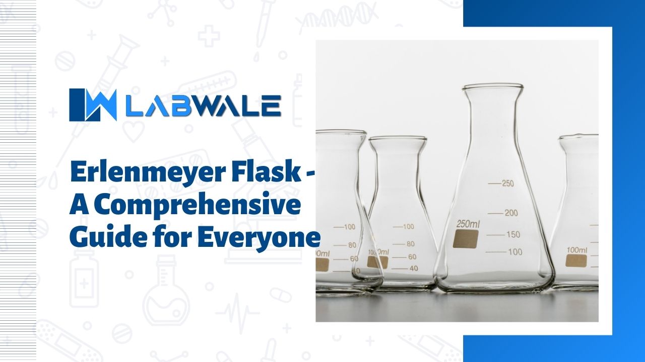 Erlenmeyer Flask - A Comprehensive Guide for Everyone