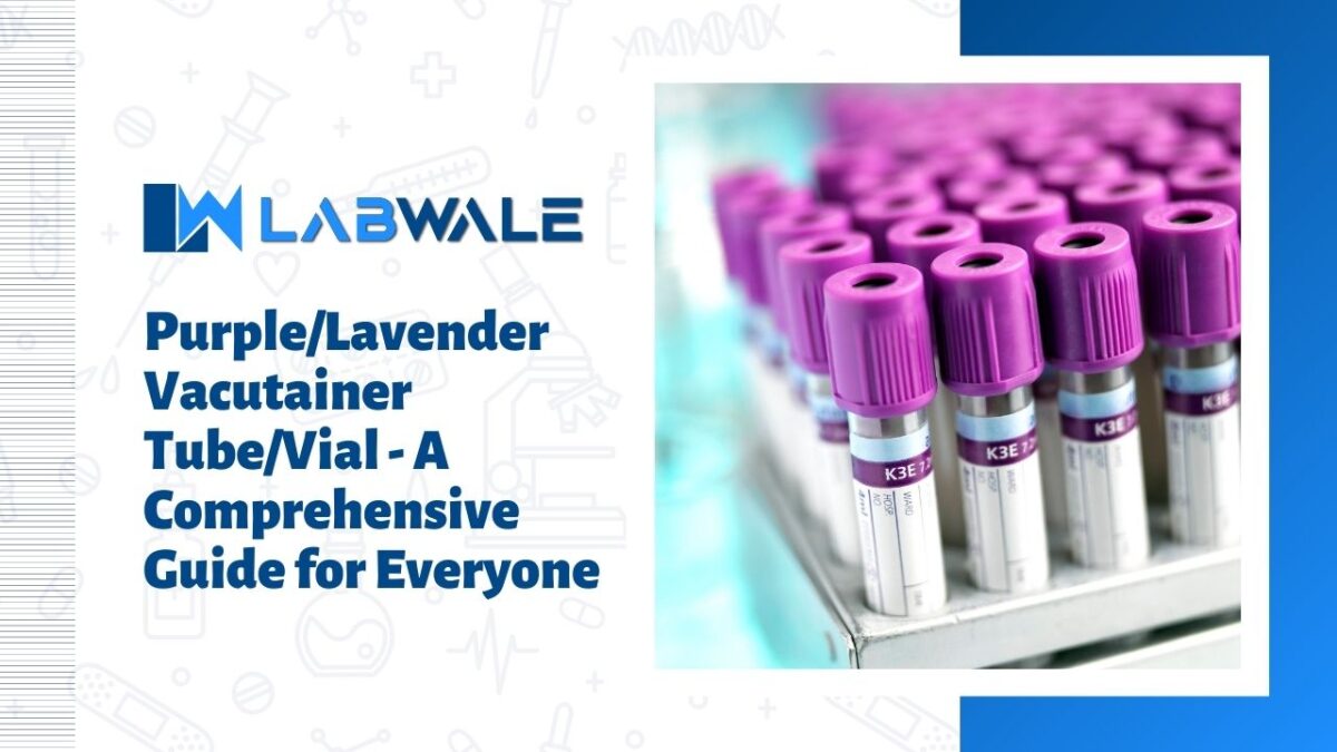 Purple/Lavender Vacutainer Tube/Vial A Comprehensive Guide for Everyone