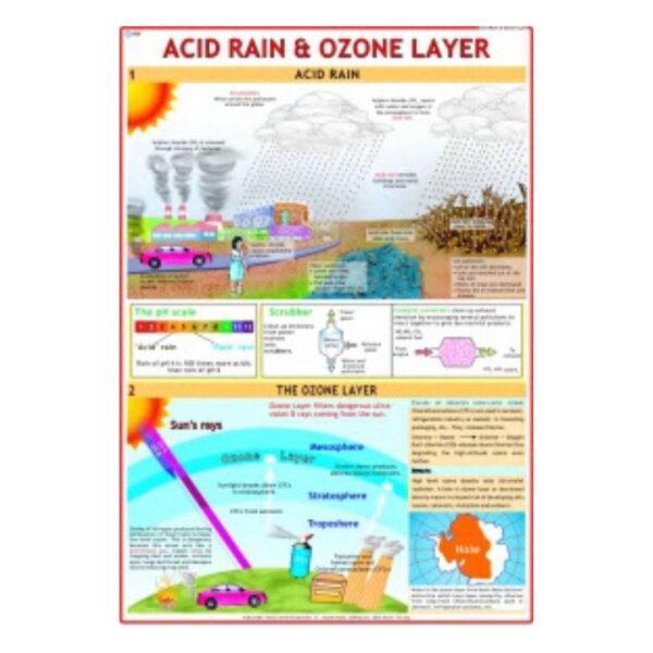 Acid Rain & Ozone Layer - Science Educational Chart – Laminated Paper