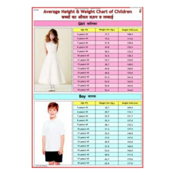 Average Height & Weight Chart of Children - Science Educational Chart – Laminated Paper