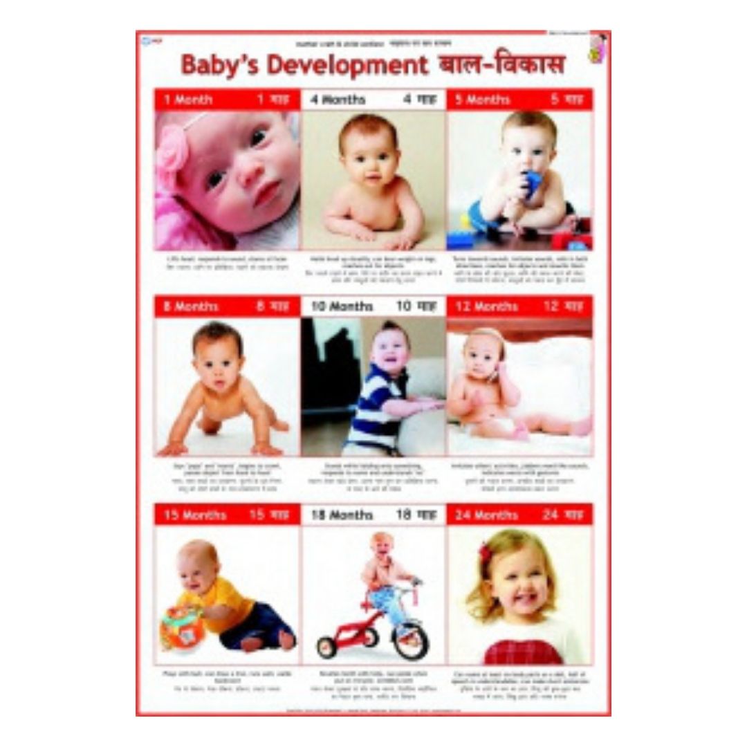 Baby's Development Educational Chart – Laminated Paper (70 x 100 cm)