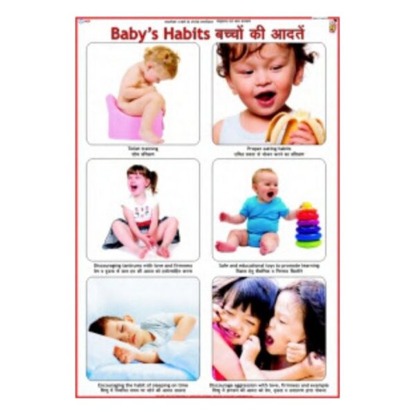Baby's Habits - Science Educational Chart – Laminated Paper