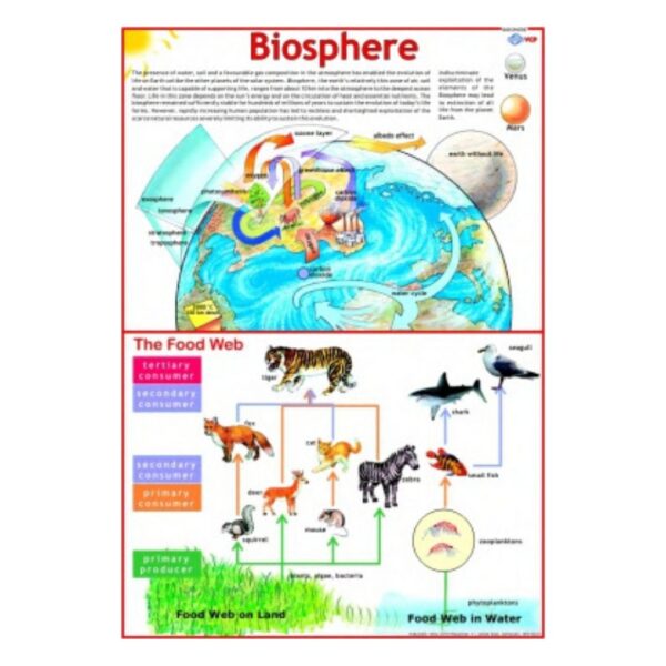 Biosphere - Science Educational Chart – Laminated Paper