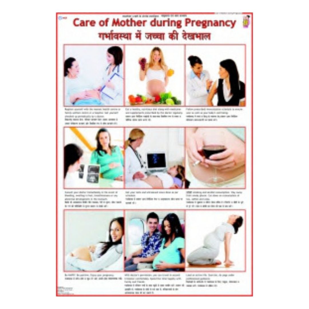 Care of Mother during Pregnancy Educational Chart – Laminated Paper (70 x 100 cm)