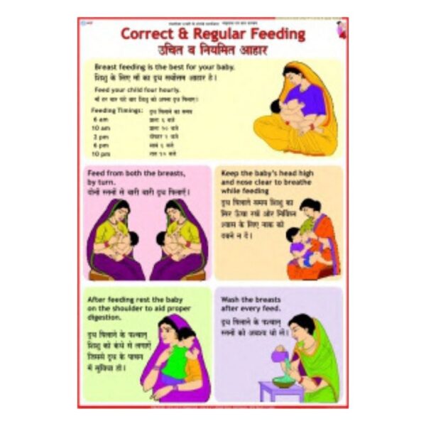 Correct & Regular Feeding - Science Educational Chart – Laminated Paper