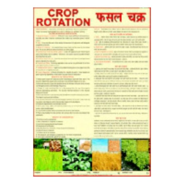Crop Rotation - Science Educational Chart – Laminated Paper