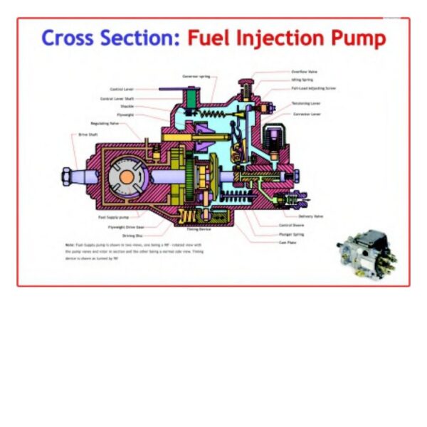 Cross Section Fuel Injection Pump - Science Educational Chart – Laminated Paper