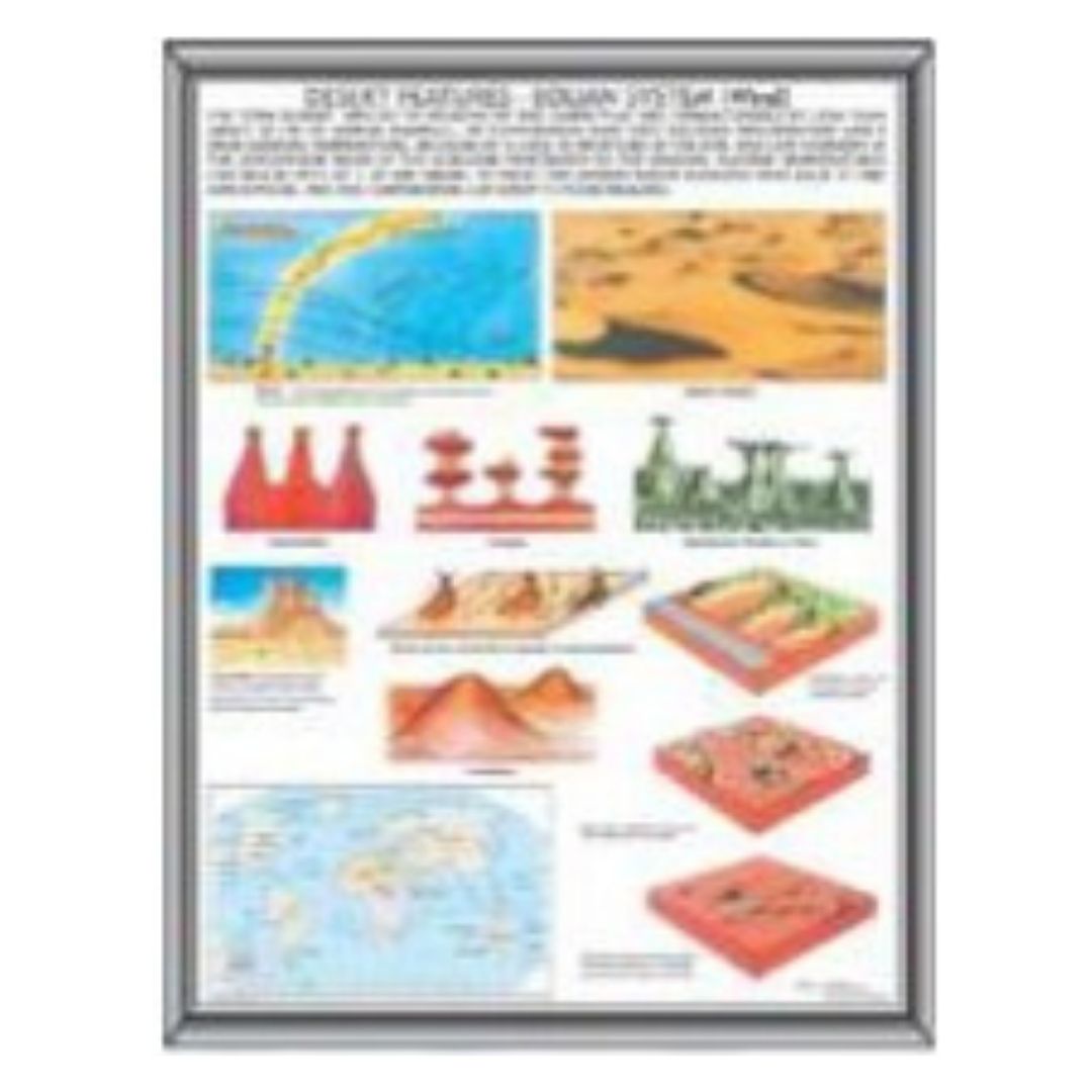 Desert Features & Eolian Systems Poster - Earth Science & Geology Classroom Visual Aid Chart - Laminated Paper Study Guide
