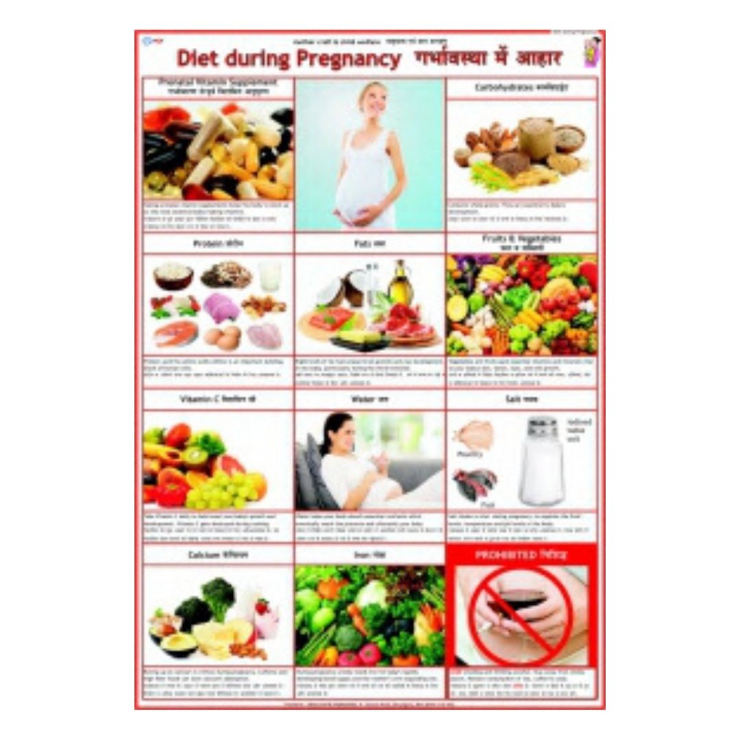 Diet during Pregnancy Educational Chart – Laminated Paper (70 x 100 cm)