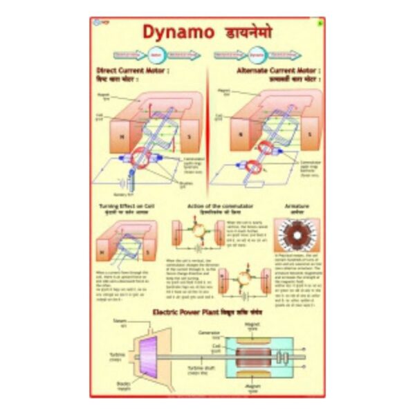 Dynamo - Science Educational Chart – Laminated Paper