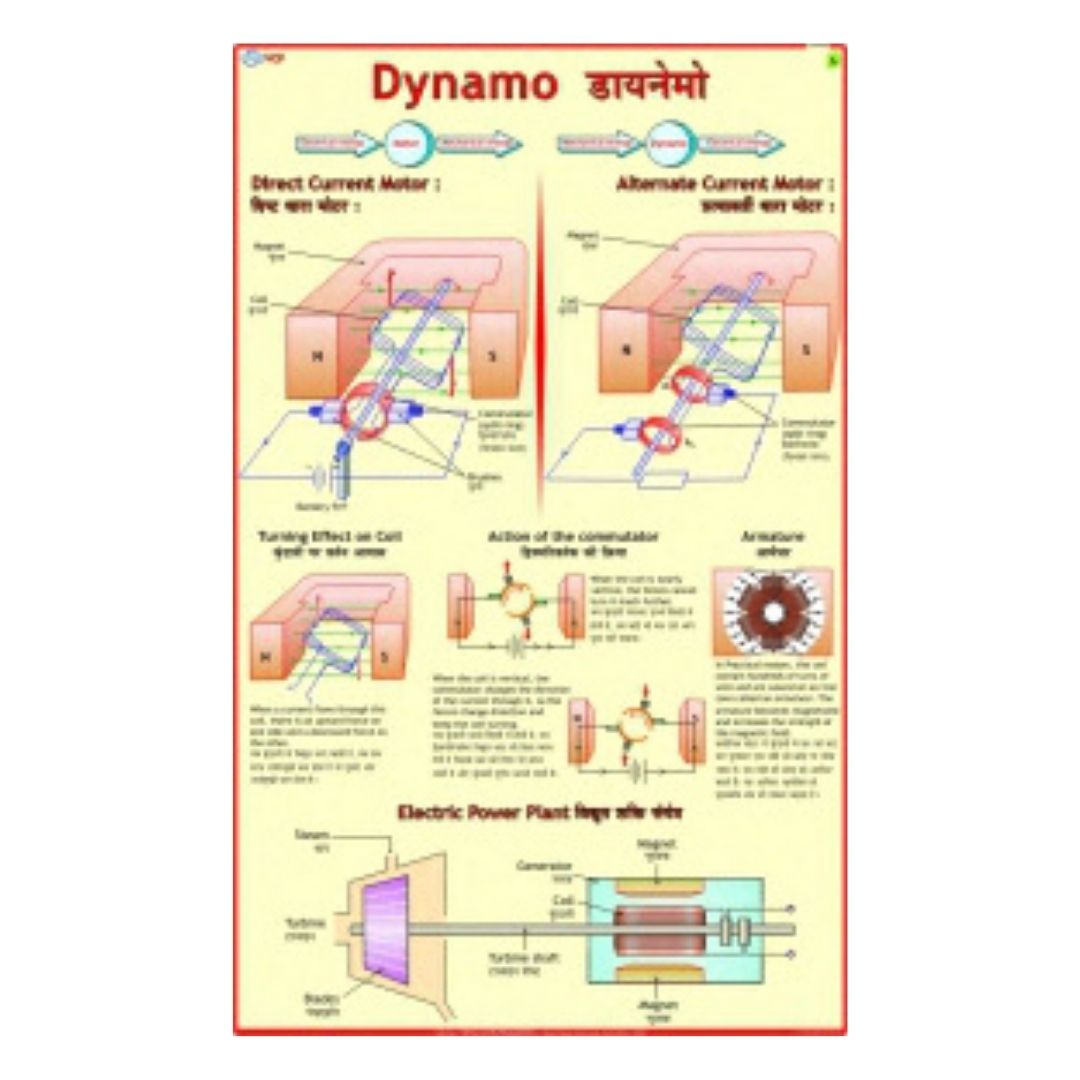 Dynamo Educational Chart – Laminated Paper (70 x 100 cm)
