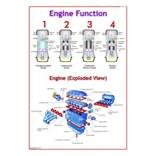 Engine Function - Science Educational Chart – Laminated Paper