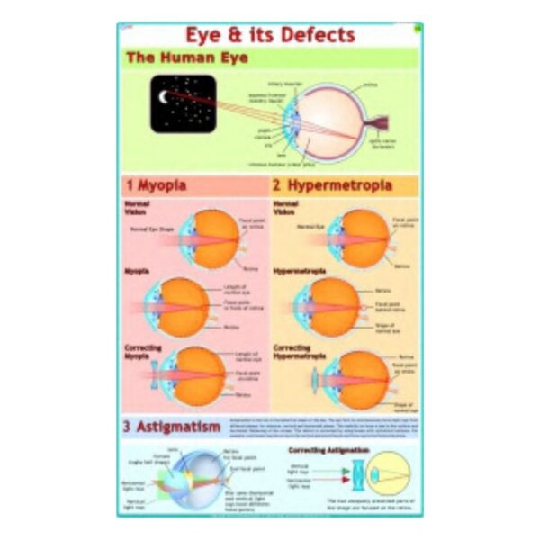 Eye & its Defects - Science Educational Chart – Laminated Paper