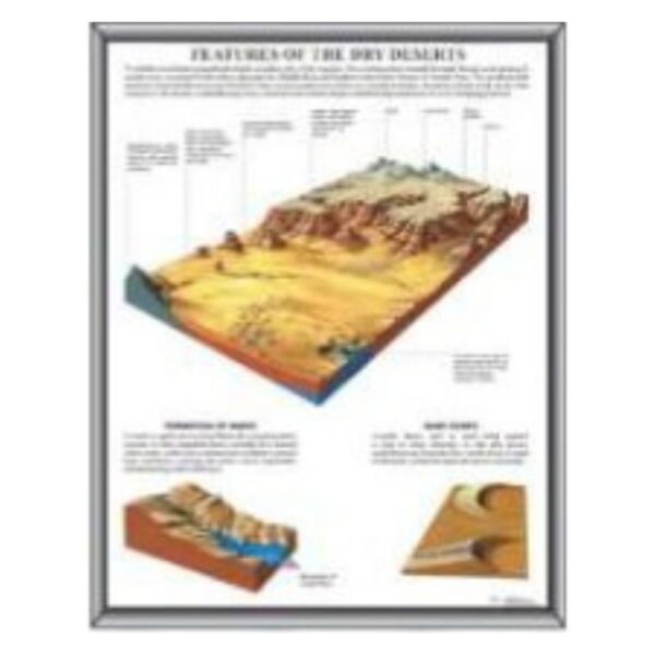 Features of Dry Desert Educational Poster - Geography Classroom Wall Chart & Home School Learning Tool for Kids - Durable Laminated Paper Prints