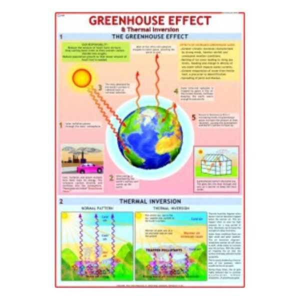 Greenhouse Effect - Science Educational Chart – Laminated Paper
