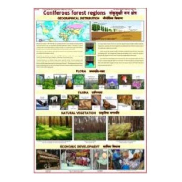 Laminated Coniferous Forest Regions Map & Ecology Science Poster for Classroom & Home Study