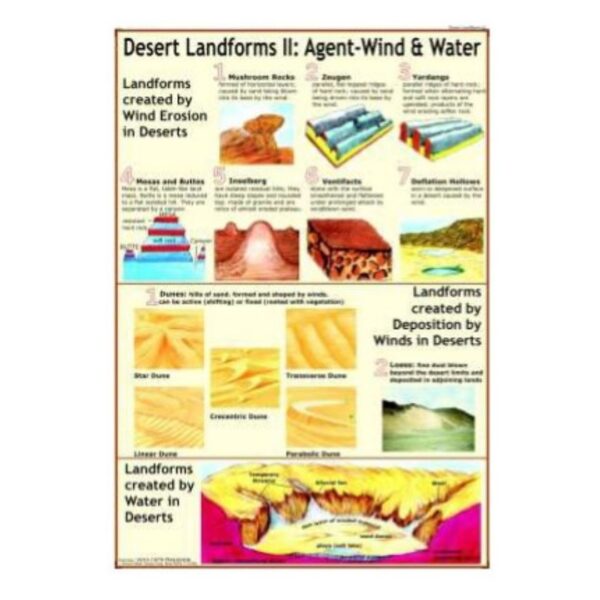 Laminated Desert Landforms II Agent-Wind & Water Chart for Earth Science & Geography Classroom Learning
