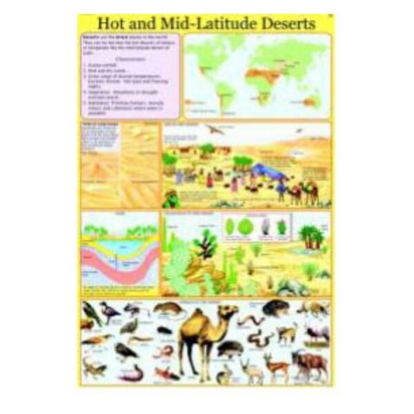 Laminated Hot and Mid-Latitude Deserts Poster for Geography Classroom & Middle High School Science Study