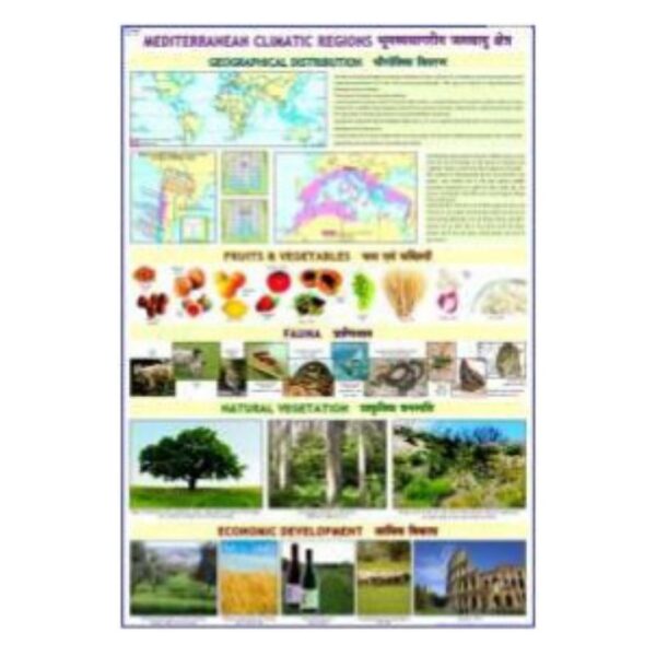Laminated Mediterranean Climatic Regions Map Chart - Educational World Climate Science Poster for School & Geography Classrooms