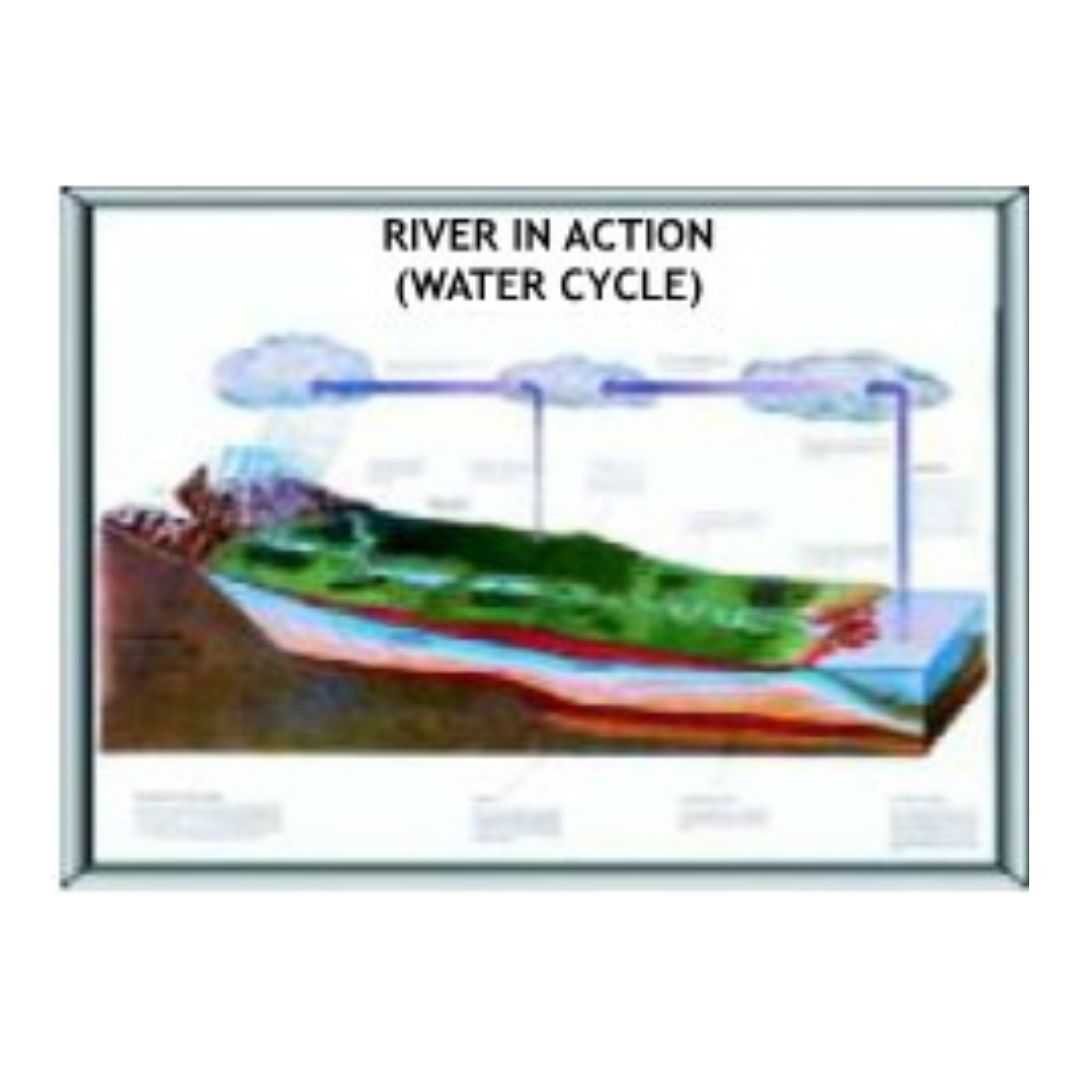 Laminated River in Action Water Cycle Chart & Earth Science Geography Educational Poster for Classroom Study