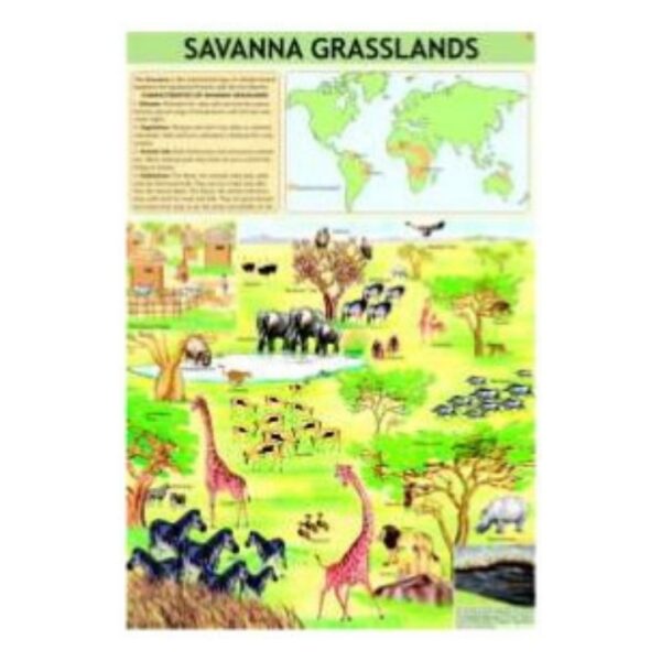 Laminated Savanna Grasslands Biome Poster for Classroom Science Wall Art & Teacher Supplies