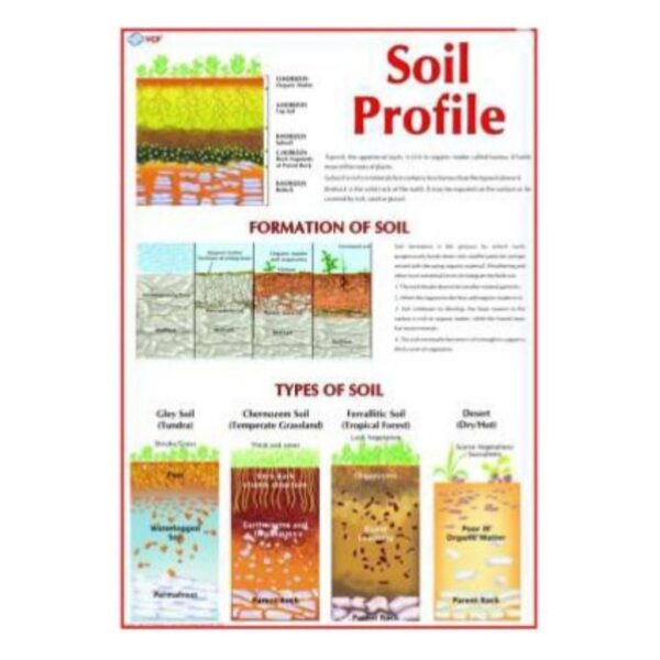 Laminated Soil Profile Diagram Chart & Earth Science Geology Educational Poster for Classroom