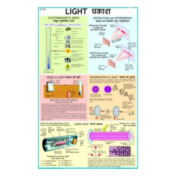 Light - Science Educational Chart – Laminated Paper