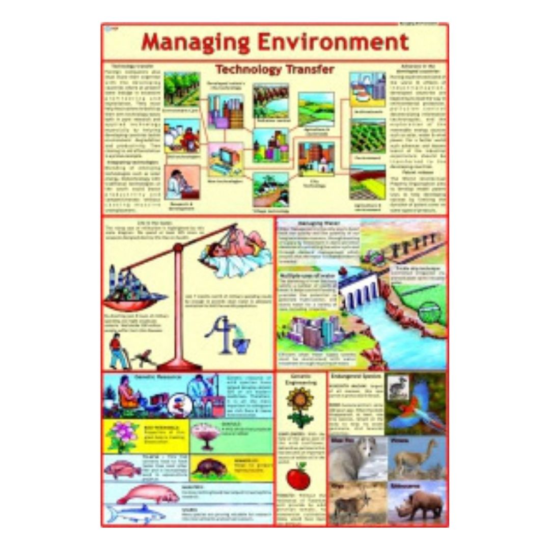 Managing Environment Educational Chart – Laminated Paper (70 x 100 cm)