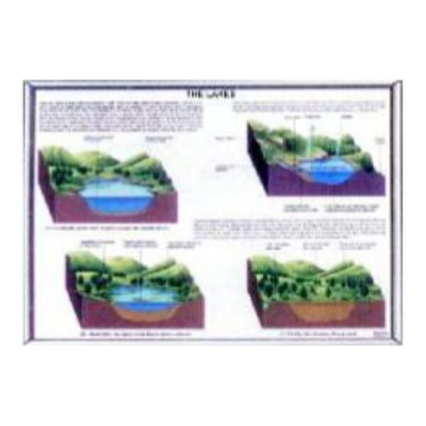 Model of the Lakes 3D Relief Map - Topographic Geography & Earth Science Learning Model for Classroom & Home Study
