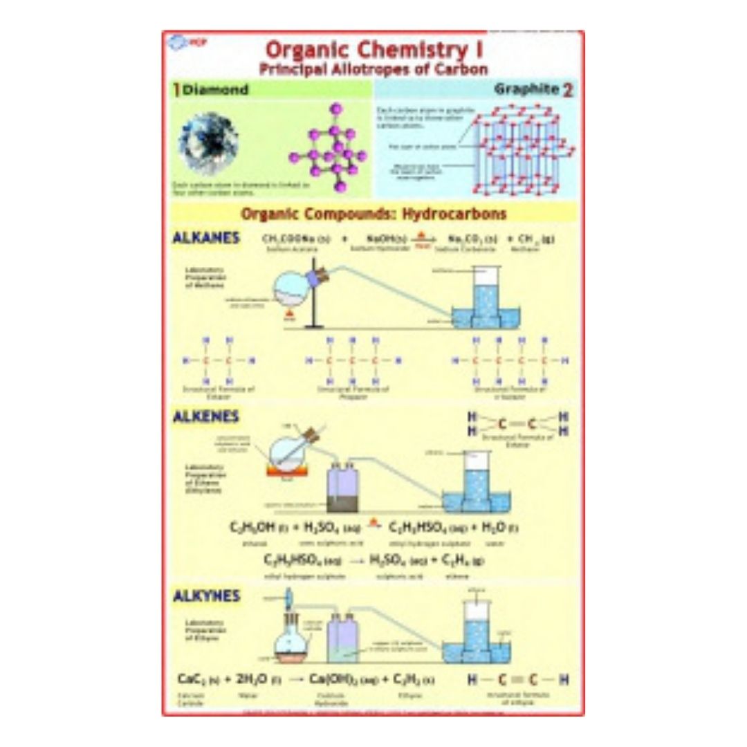 Organic Chemistry I Educational Chart – Laminated Paper (70 x 100 cm)