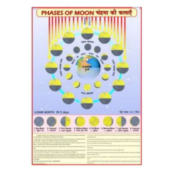 Phases of Moon Educational Poster - Laminated Astronomy & Space Wall Art Chart for Kids, Home & School Science Classrooms