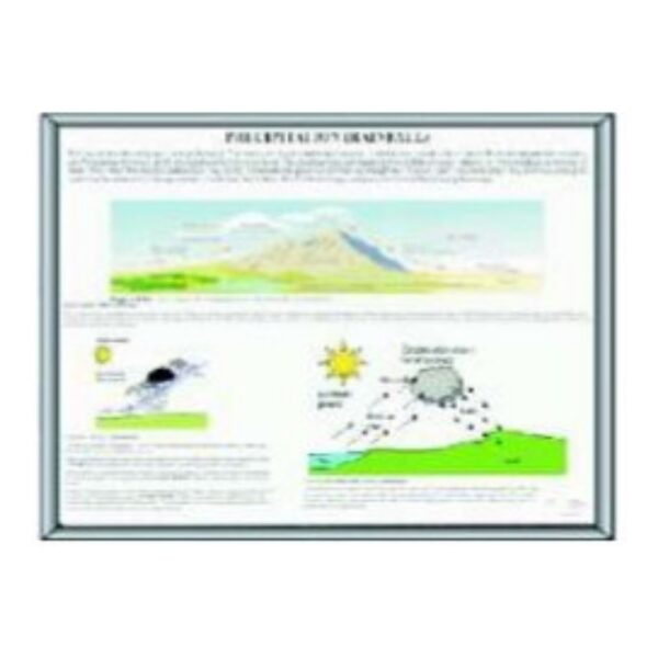 Precipitation Rainfall Science Chart Poster - Middle School Classroom Educational Weather Water Cycle Learning Graphic - Durable Laminated Paper Wall Decor