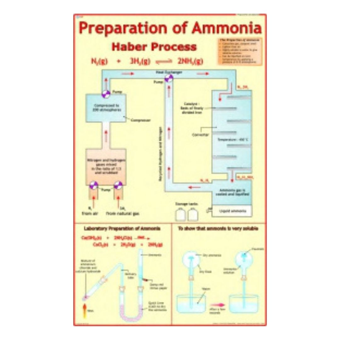 Preparation of Ammonia Educational Chart – Laminated Paper (70 x 100 cm)