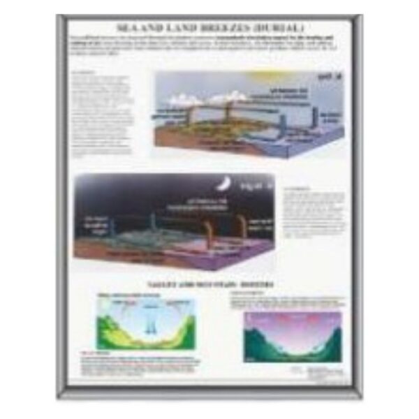 Sea & Land Breeze Educational Poster, Earth Science Classroom Diagram, Coastal Wind Circulation Chart, Laminated Paper