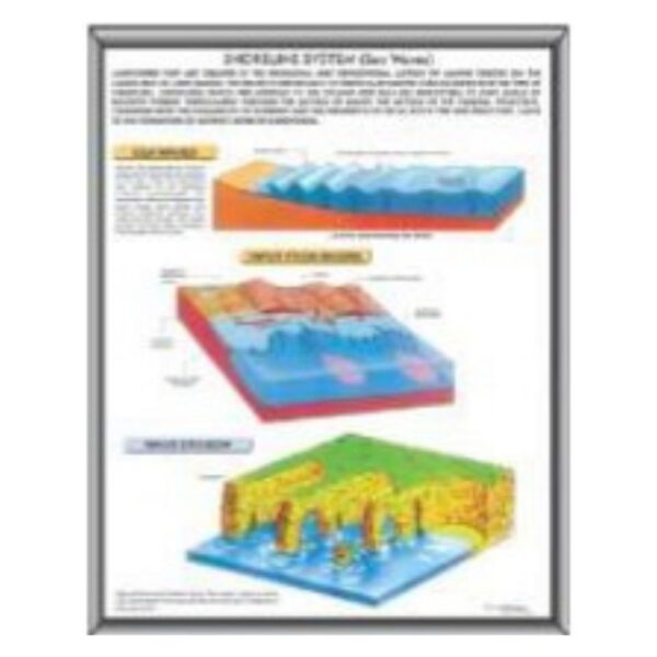 Shoreline System Erosion Control & Bank Stabilization System - Heavy-Duty Composite Coastal Protection Kit