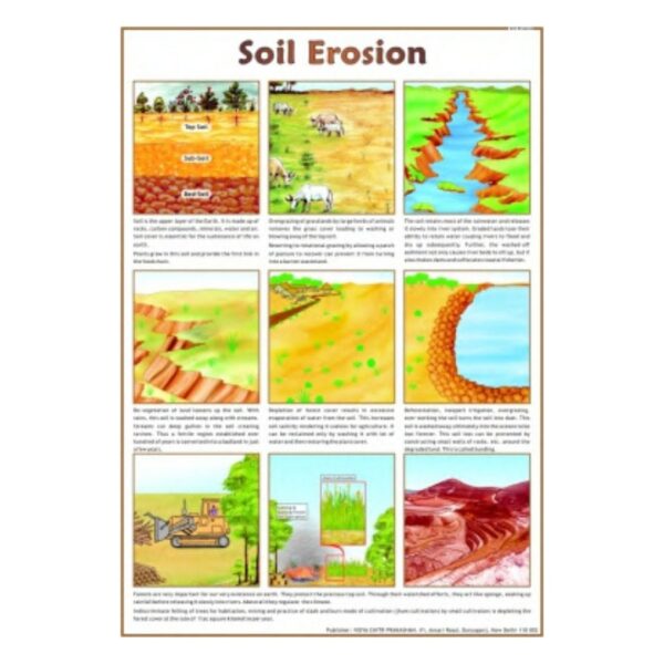 Soil Erosion - Science Educational Chart – Laminated Paper