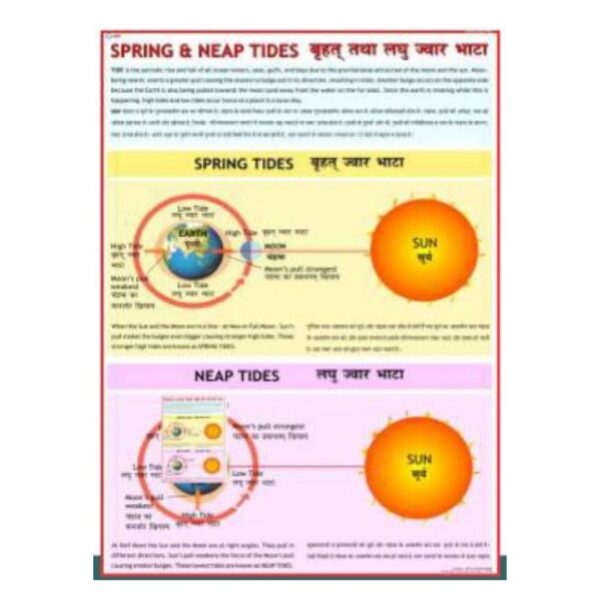 Spring and Neap Tides Chart - Classroom Educational Poster for Middle School Earth Science & Astronomy - Premium Laminated Paper Visual Learning Wall Chart